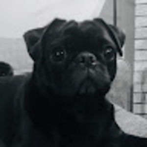 Meet your Posher, Nathaniel